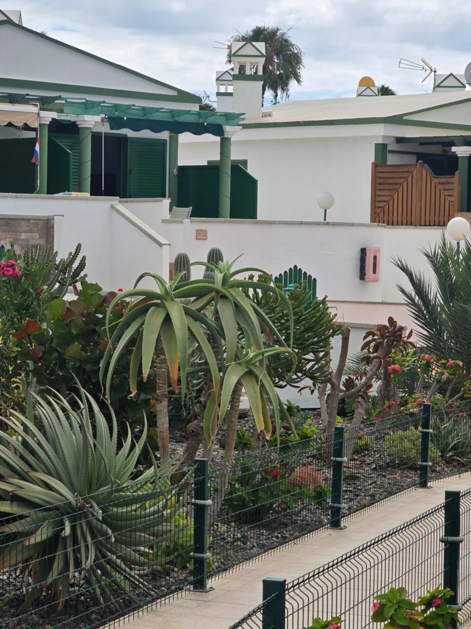 The Sunflower Maspalomas  Dış mekan fotoğraf