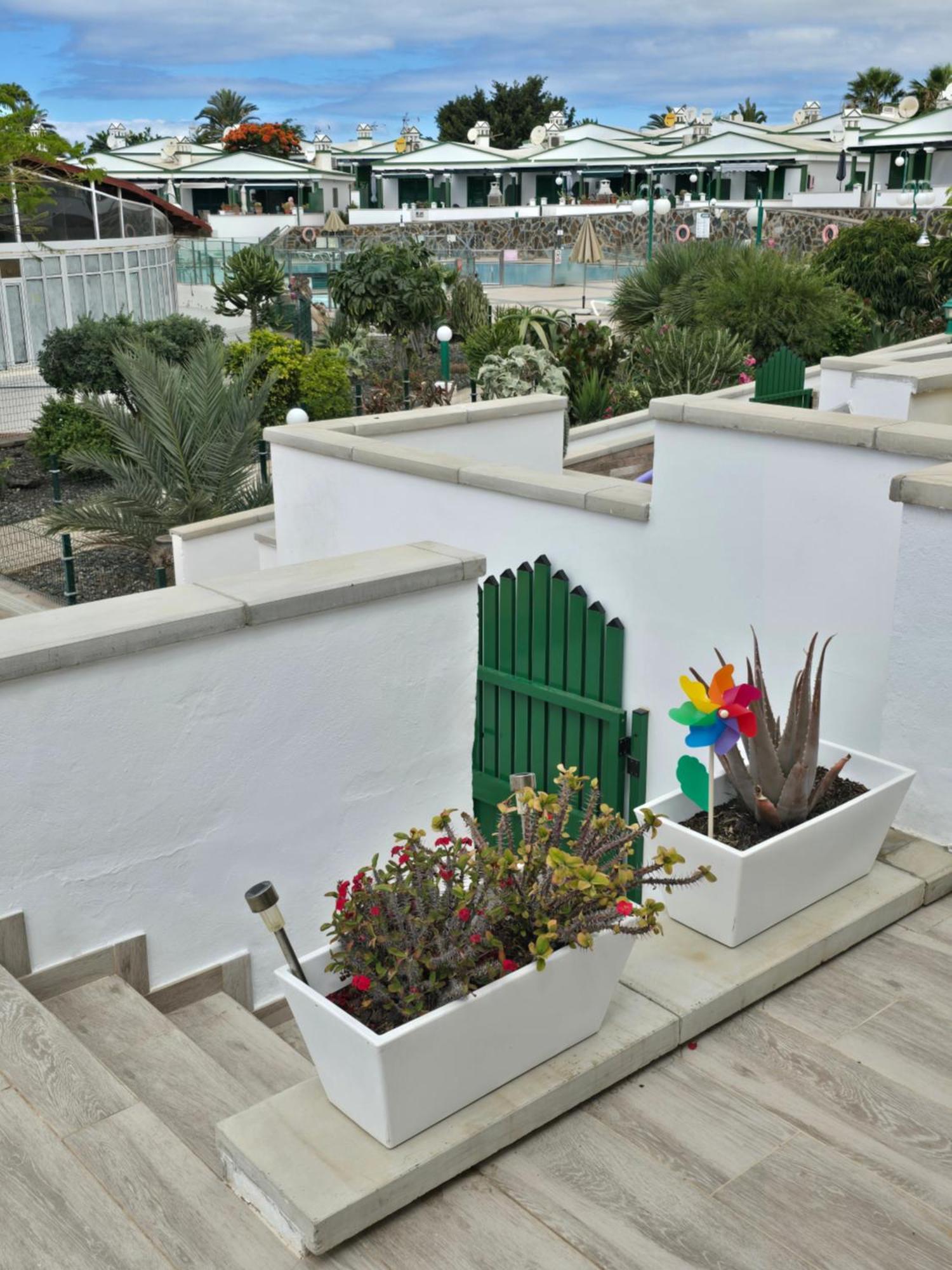 The Sunflower Maspalomas  Dış mekan fotoğraf